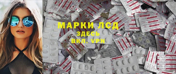 прущие грибы Хадыженск