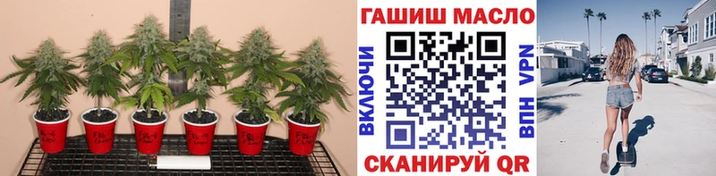 Дистиллят ТГК вейп с тгк  магазин продажи   kraken ССЫЛКА  Чёрмоз 