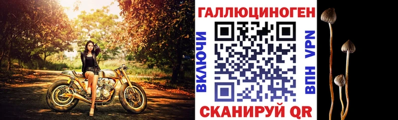 купить  цена  мориарти какой сайт  Псилоцибиновые грибы ЛСД  Чёрмоз 